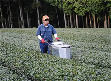 肥料の施肥（春肥え）